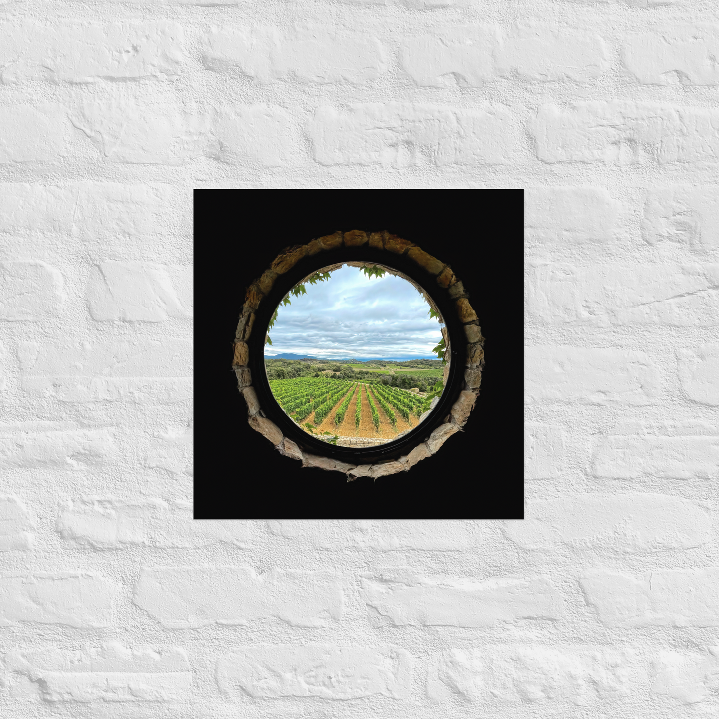 "Vineyard" Château Castigno, France (2021) © Julian Lennon