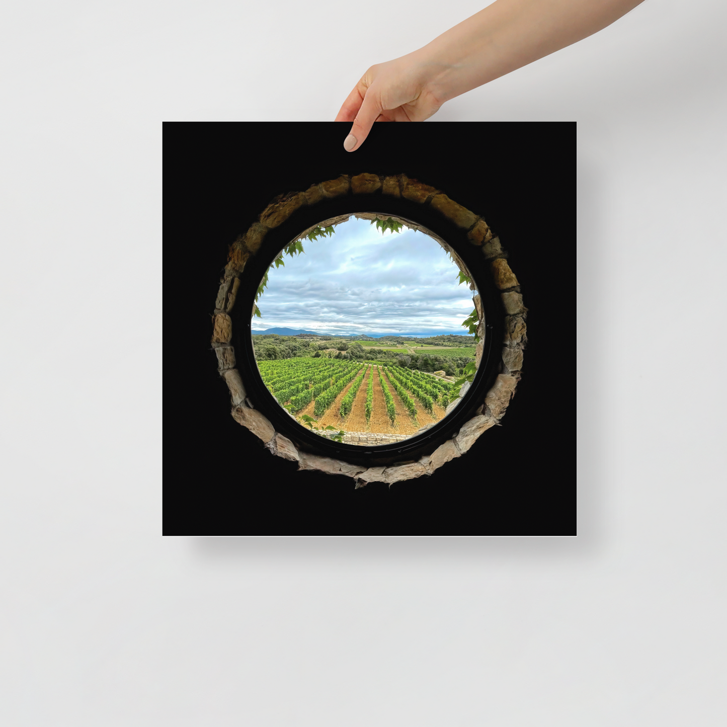 "Vineyard" Château Castigno, France (2021) © Julian Lennon